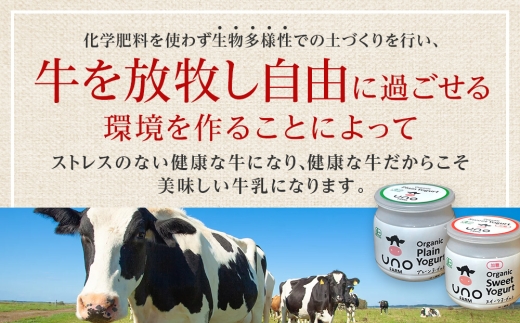 【定期便2ヵ月】オーガニックスイーツヨーグルト（加糖）6個セット