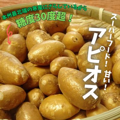 ふるさと納税 むつ市 スーパーフード 糖度30度あま〜いアピオス(生)450g