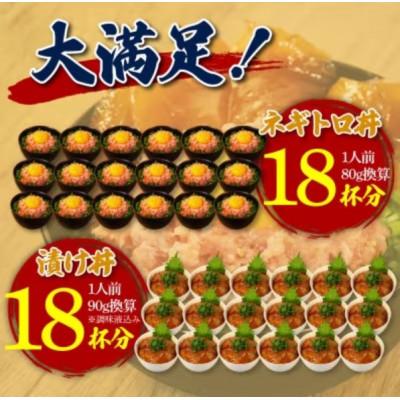 ふるさと納税 高知市 ネギトロ 約80g×18パック+マグロの漬け 約90g×18パック【BX053】