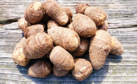 里芋 ねっとりもちもち 小郡産の里芋 白芽大吉 5kg ふくおかエコ農産物認証 ゆうき自然農場 野菜 芋 