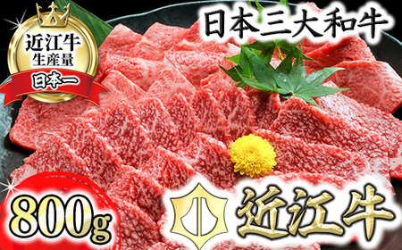 近江牛A5ランク焼肉美味セット【800g】【DG10U】