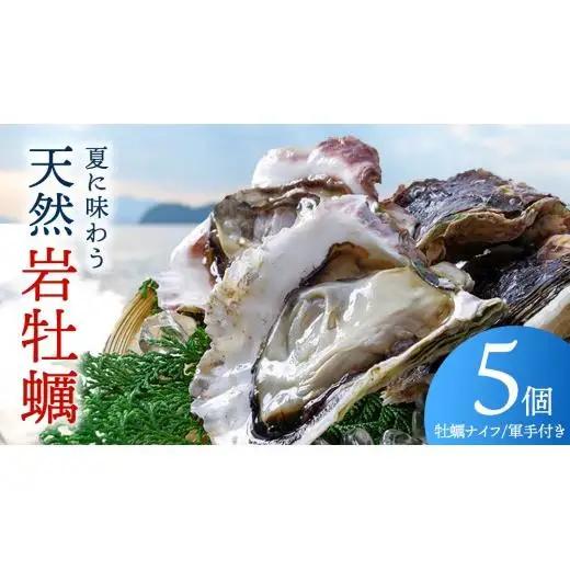 生食可 天然岩牡蠣 5個 瀬戸内産  《ナイフ・軍手付き》 