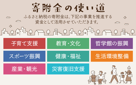 【返礼品なし】石川県 かほく市 応援寄附金 100,000円分 | 支援 純粋寄附