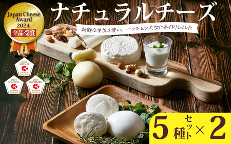 ナチュラルチーズ5種×2セット (モッツァレラ・カチョカヴァッロ・ストリング・ハード ) ｜チーズ  