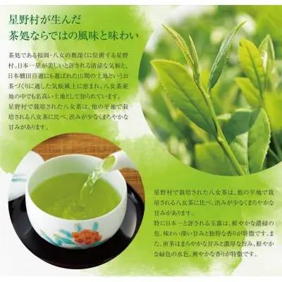 Y26-07 八女星野「星乃煌」(玉露・煎茶 各150g) 緑茶