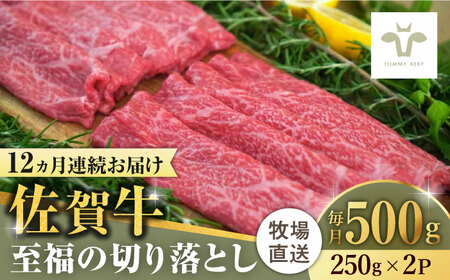 【全12回定期便】佐賀牛至福の切り落とし 計6kg（250g×2袋×12回）/ ブランド牛 牛肉 和牛 小分け / 佐賀県 / 有限会社佐賀セントラル牧場 [41ASAA020]