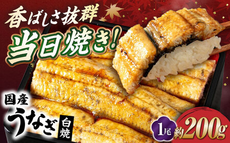 国産活うなぎ1尾（白焼）[AQDF010] 鰻 鰻 鰻 鰻 鰻 鰻 鰻