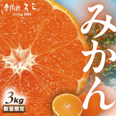 天空の果樹園から届くそらみかん (3kg)【A95-7】【1668512】