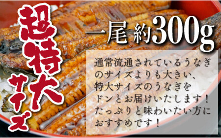 OTUCT-3 【数量限定】超特大くしまの黒潮うなぎ蒲焼３尾（合計900g前後）【大田商店】