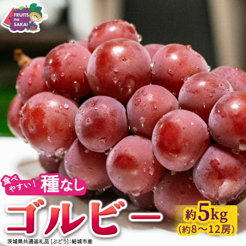 ゴルビー 約5kg(約8～12房)【2026年9月より発送開始】（茨城県共通返礼品 [ぶどう]：結城市産） ぶどう 赤ぶどう 高級 希少品種 大粒 甘い 果物 フルーツ 旬 [FC116-NT]