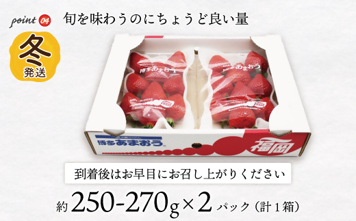 AT-001_博多あまおう2パック(冬)『12～1月発送』