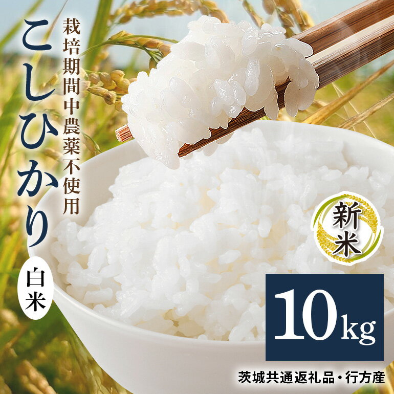 【ふるさと納税】 令和7年産新米 白米 10kg 栽培期間中農薬不使用 こしひかり 茨城県産 米 お米 コメ ご飯 コシヒカリ 食味豊か 甘み 旨み 冷めても 美味しい お弁当 向け 食卓常備 産地直送 茨城県 潮来市 ＜茨城県共通返礼品・行方市産＞ (A03-015)