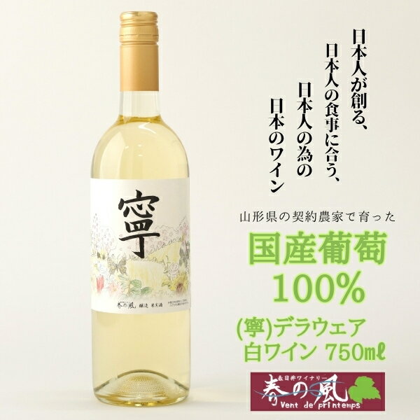【ふるさと納税】春日井ワイナリー 春の風 (寧) デラウェア 白ワイン 750ml | 白 ワイン 日本ワイン 国産ワイン ロゼ 国産 葡萄100%ワイン ぶどう100% デラウェア ライト 甘口 香り 春日井 ワイナリー ご当地 アルコール ギフト 贈り物 Japanese Wine 愛知県 春日井市