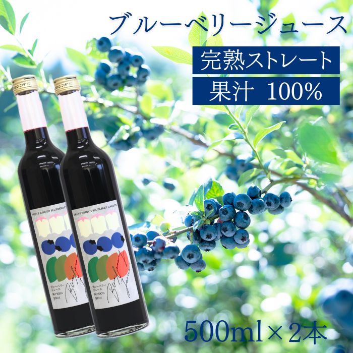 【ふるさと納税】 ブルーベリー ジュース おすすめ フルーツジュース ストレート 果汁100％ ブルーベリージュース 500ml×2本セット 合計1,000ml 1L 濃厚 果物 フルーツ 自社農園 果実飲料 果物 くだもの ドリンク 飲料 完熟 岩手県 滝沢市 送料無料 岩手林業株式会社