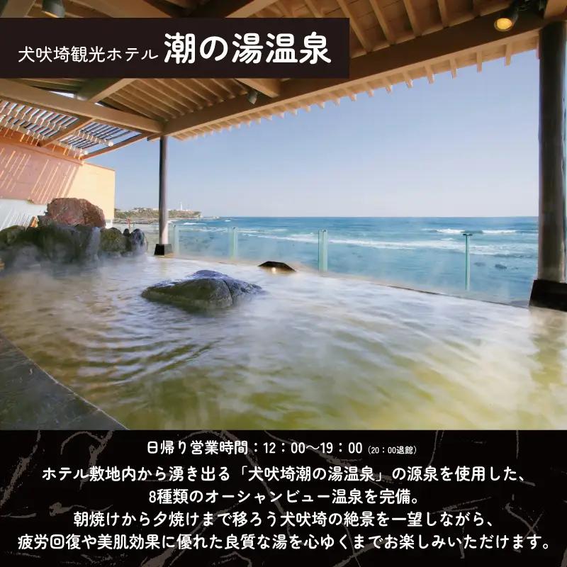 温泉 犬吠埼温泉 温泉利用券 土日限定 ペアチケット