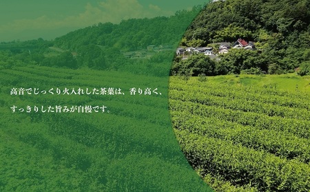 村茶季園　甲斐亀沢　お茶詰め合わせ　CS-7　農薬不使用　化学肥料不使用