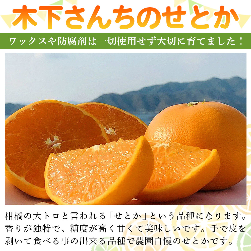 ＜木下さんちのせとか 訳あり 約5kg（S～3L大中小混み）＞ 訳アリ 家庭用 自宅用 柑橘 ミカン みかん 蜜柑 果物 くだもの フルーツ 国産 特産品 木下農園 愛媛県 西予市【常温】『2027年