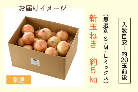 【先行予約】2025年6月発送  採れたて 新玉ねぎ 5kg（サイズ S M L ミックス）田んぼで育てた甘くて柔らか自慢の玉ねぎ！／ 常備 野菜 玉葱 たまねぎ 新鮮  