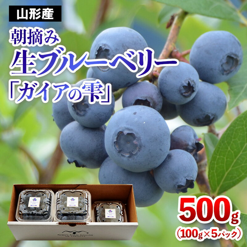 【ふるさと納税】山形の朝摘み生ブルーベリー「ガイアの雫」500g(100g×5パック) 【令和8年産先行予約】FS25-705くだもの 果物 フルーツ 山形 山形県 山形市 お取り寄せ 先行予約 2026年産