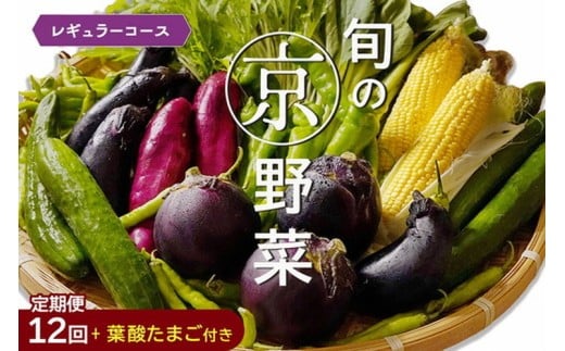 【6月発送】野菜定期便 12回 葉酸たまご付 4~6種類 旬の京野菜 レギュラーコース 詰め合わせ 季節 旬 野菜 やさい 野菜便 国産 国産野菜 新鮮 おまかせ 産地直送 春野菜 夏野菜 秋野菜 冬野菜 葉物 果菜 根菜 カット野菜 京都府産 亀岡市産 京丹波町産 季節の野菜 九条ネギ なす 唐辛子 サラダ トマト 京水菜 壬生菜 聖護院大根 聖護院かぶら 里いも つるむらさき  京都府 亀岡市