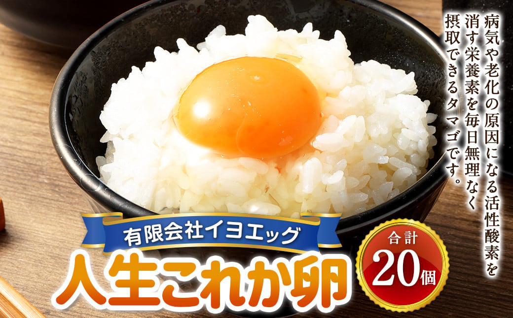 人生これか卵 20個 セット（内割れ保証2個） たまご 卵 玉子 タマゴ 国産 愛媛県産【えひめの町（超）推し！（内子町）】 （479）