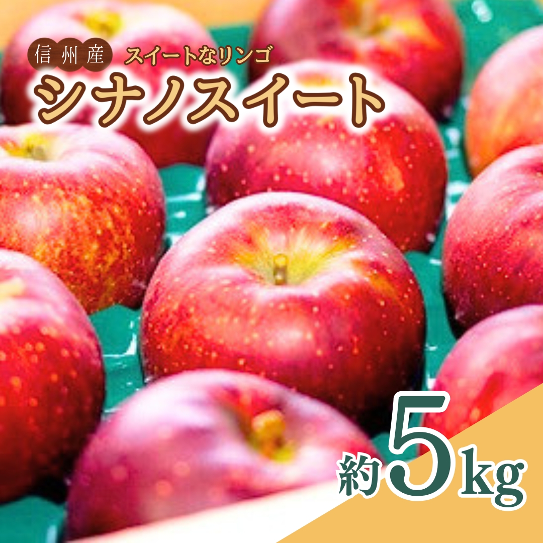 【2026年先行予約】スイートなりんご シナノスイート 5kg | 信州りんご 長野りんご リンゴ 林檎 千曲市 長野県産 信州