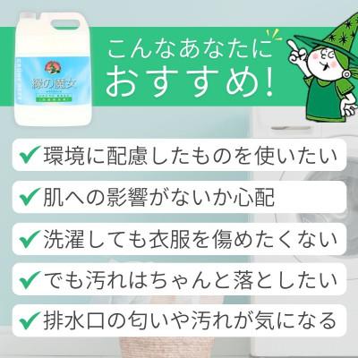 ふるさと納税 龍ケ崎市 迷ったらこれ　ふるさと納税専門誌掲載品　世界で一つだけの機能を持つ洗剤　緑の魔女ランドリー5L×3 |  | 01