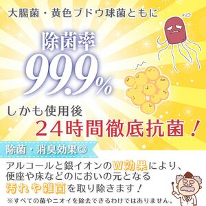 GN超厚流せるトイレクリーナー大判(12枚×2パック)×20袋