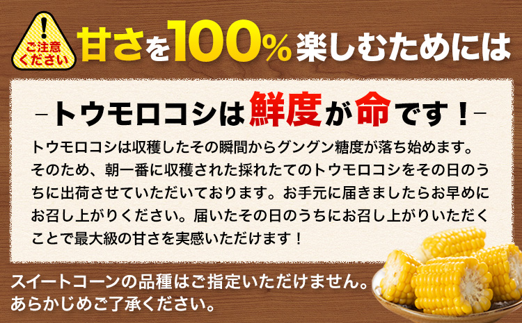 【先行予約】【着日指定不可】 すごあまこーん とうもろこし 極甘 スイートコーン ゴールドラッシュ 恵味 10本 《2026年7月中旬-8月上旬頃出荷予定》熊本県 産山村 野菜 夏野菜 コーン トウモ