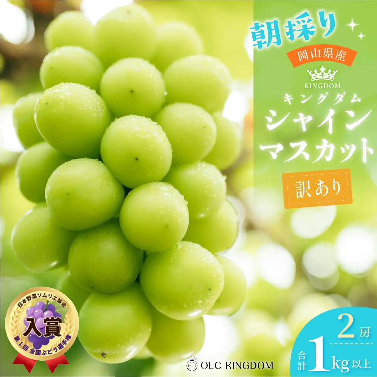 ぶどう 2026年［ご家庭用］ シャイン マスカット 2房（合計1kg以上）  ブドウ 葡萄  岡山県産 国産 フルーツ 果物 OEC KINGDOM ぶどう家 果物類