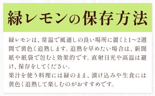 レモン 訳あり 緑色 檸檬 3kg (1kgあたり5-12玉前後) 株式会社農業福祉研究機構《10月上旬-11月上旬頃出荷》和歌山県 紀の川市 フルーツ 果物 お取り寄せフルーツ