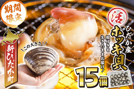 ＜ 5/10までの受付 ＞ 北海道産 活ホッキ 貝 15個 ホッキ 北寄 北寄貝 貝 殻付き 海鮮 海産物 新鮮 旬