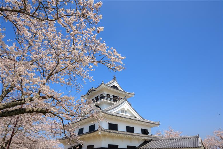 千葉県館山市 ANAトラベラーズホテル割引クーポン3,000点分