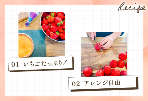 A-614 お家で作る いちごタルトキット 15cm（TARTE AUX FRAISES）