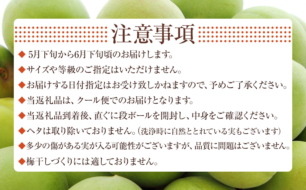 冷凍 紀州南高梅 青梅   約5kg   L～4Lサイズ混合 ご家庭用