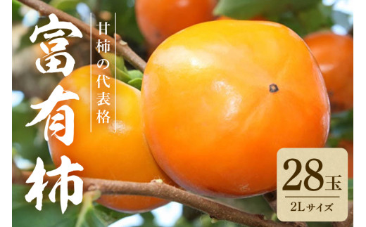 【2025年　先行予約】 富有柿 2L 二段 28玉 （ミナミ観光果樹園） 柿 甘い柿 かき 富有カキ 甘い 果物 フルーツ くだもの カキ 富有かき 秋 旬 甘柿 糖度 贈答用 贈答品 ギフト 贈り物 品種 ブランド 産地直送 農家直送 産直 茨城県 石岡市 (A09-004)