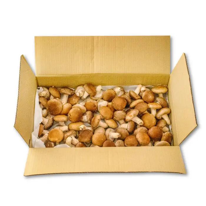 「奥出雲椎茸」秀品 箱入 2kg 【椎茸 生しいたけ 2kg 肉厚 収穫直後 サイズ混合 新鮮 旨味たっぷり 菌床栽培 国産 きのこ キノコ 野菜 料理 食品 産地直送 自宅用】