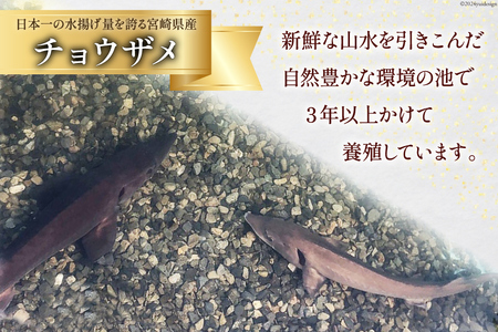 美郷 キャビア チョウザメ 10g