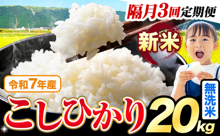 【隔月3回定期便】令和7年産 新米 無洗米 こしひかり 20kg《お申込みの翌月出荷》熊本県産 ふるさと納税 無洗米 ひの 米 こめ ふるさとのうぜい コシヒカリ コメ お米 おこめ