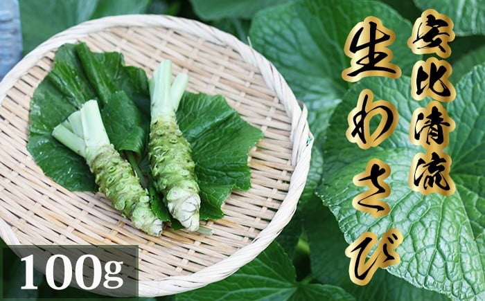 
                  岩手県産 生わさび 100g 【安比清流山葵園】／ 山葵 ワサビ わさび 薬味 国産 八幡平市産 産地直送 新鮮 調味料 刺身 ステーキ お肉 蕎麦 和え物 漬け物 刻み おろし 辛味 和食 お寿司 そば 肉の薬味 魚の薬味 そばの薬味 料理 自宅用 家庭用 おすすめ オススメ お取り寄せ 日本産
                