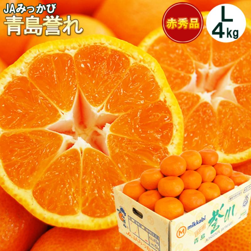 【ふるさと納税】三ヶ日みかん 本貯蔵 青島 誉れ 【赤秀】Lサイズ 4キロ(30個前後) ミカン 果物 くだもの フルーツ 甘い 浜松市 果物類 柑橘類　お届け：2026年3月上旬～3月下旬
