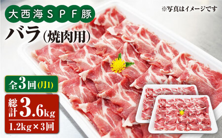 【6回定期便】大西海SPF豚 バラ（焼肉用）計1.2kg 訳あり ＜大西海ファーム＞ [CEK082]