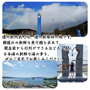 鮮魚セット 約4～5kg 当日水揚げ 阿武町産