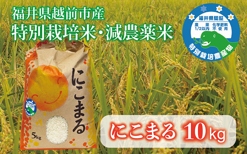 
            令和6年度産 10kg にこまる 福井県越前市産（福井県特別栽培米）
          