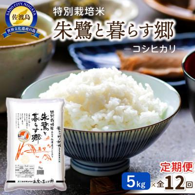 ふるさと納税 佐渡市 【毎月定期便】特別栽培米佐渡産コシヒカリ・朱鷺と暮らす郷5kg全12回