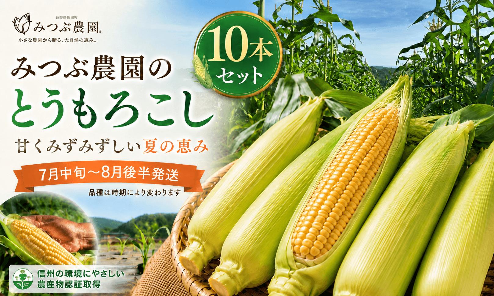 
                  【極甘・数量限定】みつぶ農園の朝採れ絶品とうもろこし 贅沢10本セット 長野県信濃町
                
