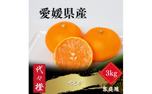 【先行受付】【最高の旨みと香りが詰まった】代々橙せとか【ご家庭用】3kg【C83-44】_ ミカン みかん せとか フルーツ 果物 果実 くだもの 家庭用 人気 甘い ジューシー 柑橘 かんきつ  愛媛 八幡浜市 旬 産地直送 産直 季節限定【1623951】 YWTW044