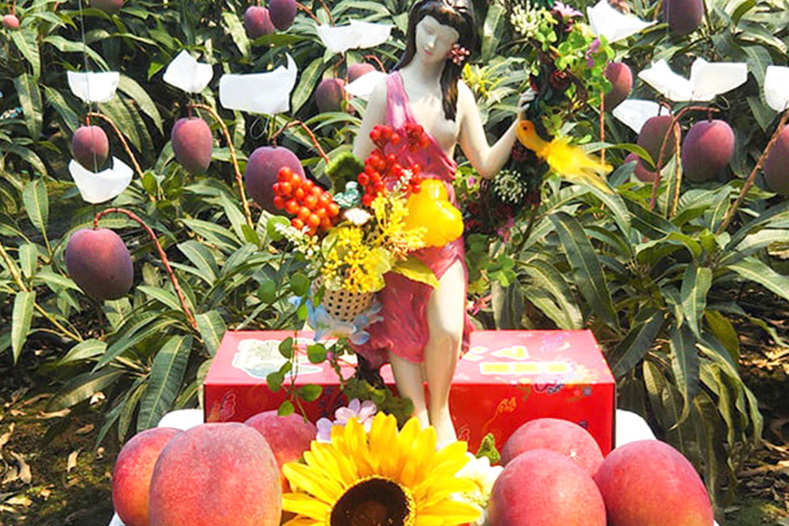 【2026年発送】伊敷さん家の美味しい完熟マンゴー1kg（ご家庭用）