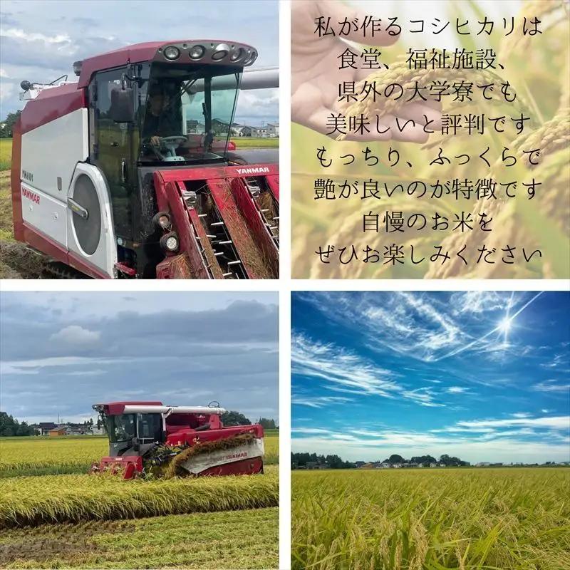 令和8年産 先行予約 新潟県上越市産コシヒカリ 5kg×3回 定期便