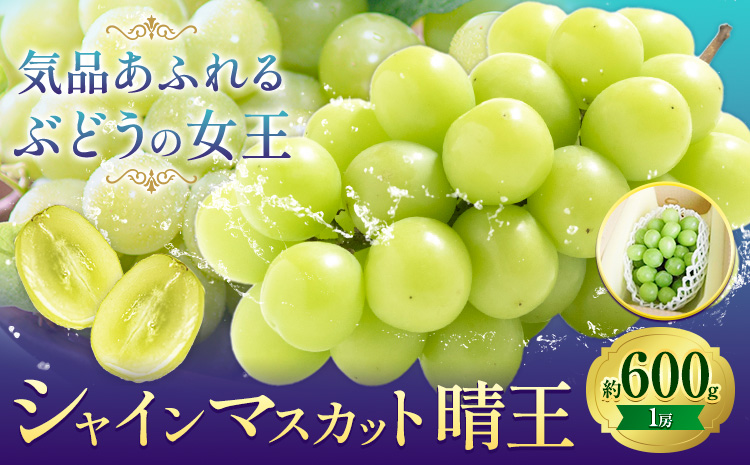 【先行予約】ぶどうシャインマスカット 約 600g 1房 株式会社藍《9月上旬-10月下旬頃出荷》 岡山県 浅口市 岡山県産 ぶどう フルーツ 果物 くだもの マスカット 送料無料【配送不可地域あり】